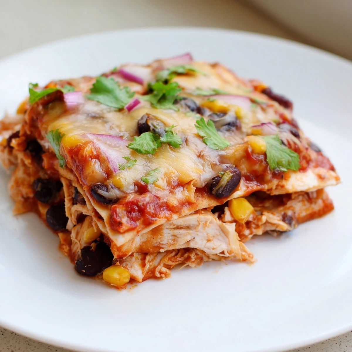 Chicken Enchilada with Cheese